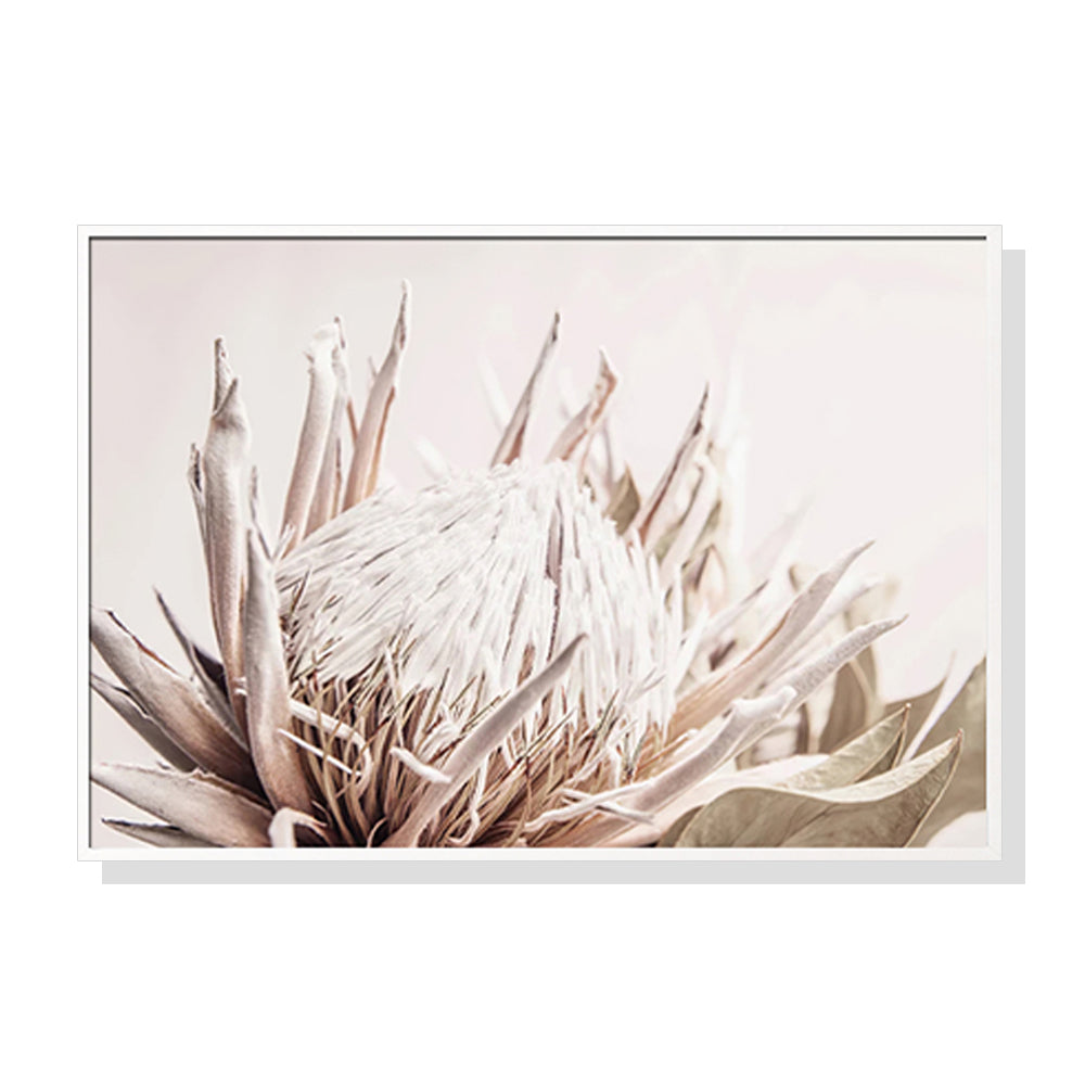 80cmx120cm Pure Protea II White Frame Canvas Wall Art